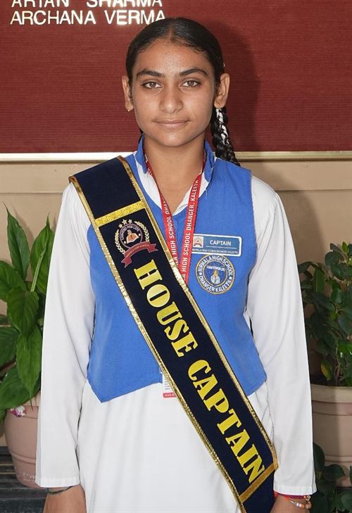 Blue House Captain