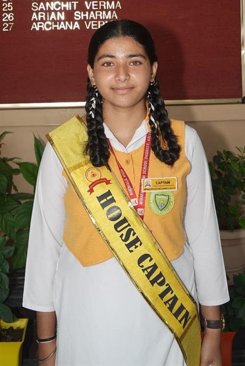 Yellow House Captain