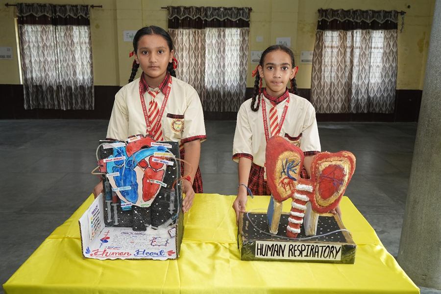 Students with their human heart and respiratory system models